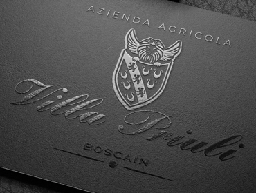 Villa Priuli